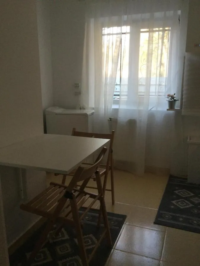Studio Baneasa Apartment Bucharest Romania